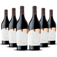 Cantine San Marzano Talò Primitivo di Manduria DOP 2020 (6 x 0.75 l)