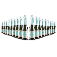 Villa Conchi Brut Cava Seleccion 0.375l Penedès (18 x 0,375l)