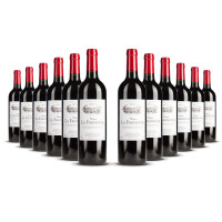 Chateau la Fagnouse St. Emilion Grand Cru 2018er Bordeaux (12 x 0,75l)