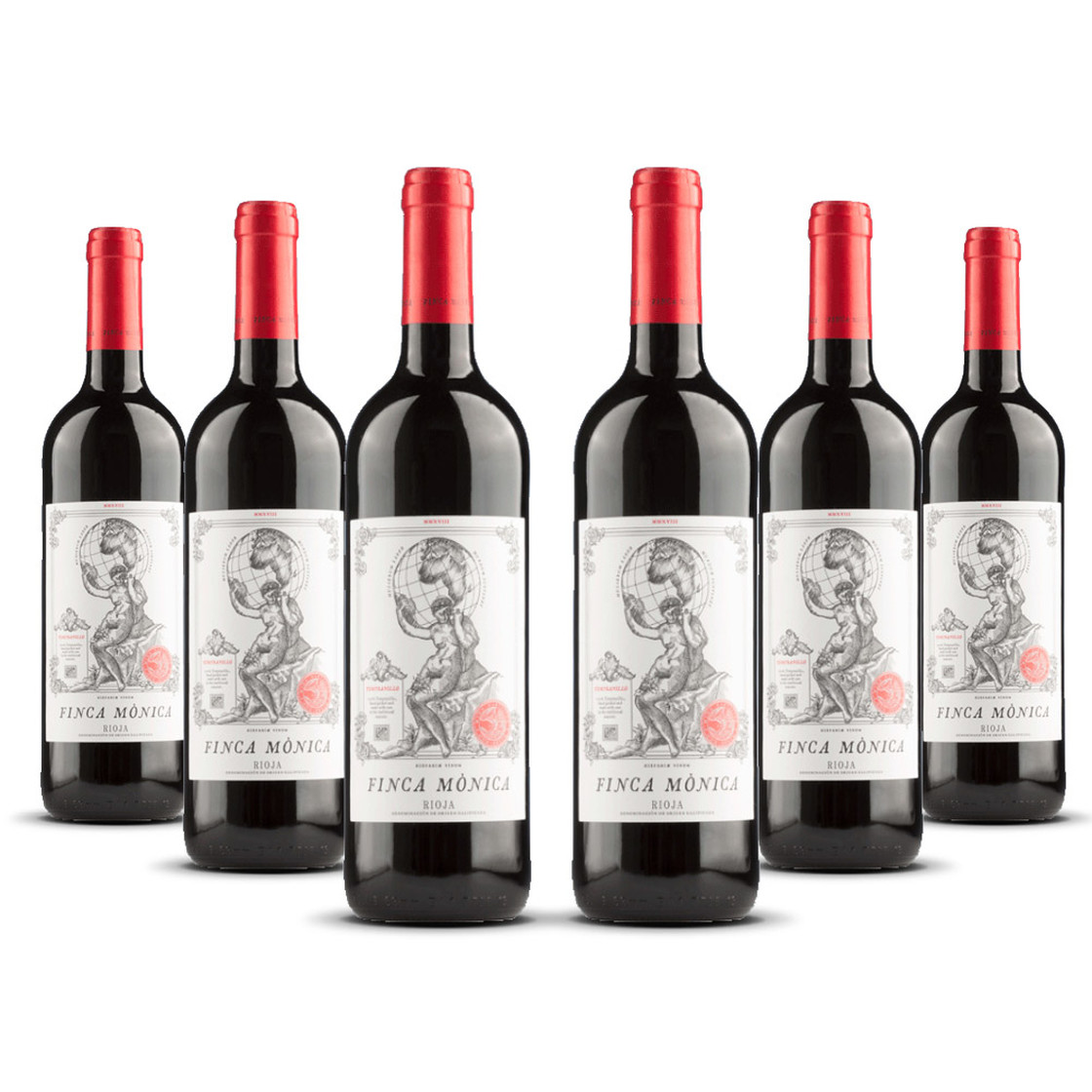 Finca Monica Rioja Tempranillo 2020er Rioja (6 x 0,75l), 30,00 €