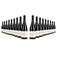 Julien Schaal Pinot Noir Kaleidoscope 2020er Elsass (18 x 0,75l)