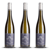 Julien Schaal Riesling Grand Cru Kastelberg 2021er Elsass (3 x 0,75l)