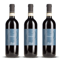 Prunotto Fiulot Barbera dAsti 2020er Piemont (3 x 0,75l)