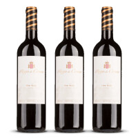 Pago de Cirsus Oak Aged Navarra 2021er Navarra (3 x 0,75l)