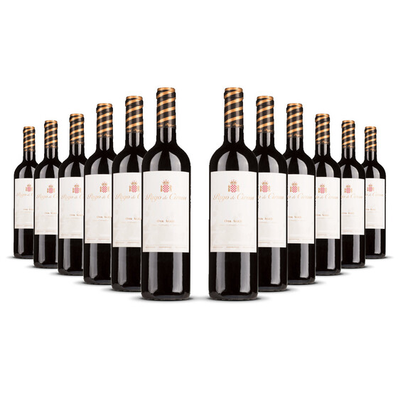 Pago de Cirsus Oak Aged Navarra 2021er Navarra (12 x 0,75l)