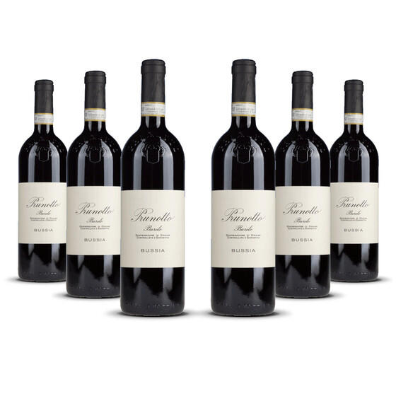 Prunotto Barolo Bussia 2019er Piemont (6 x 0,75l)