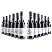 Bel Colle Barbera dAlba Ape Reale 2022er Piemont (12 x 0,75l)