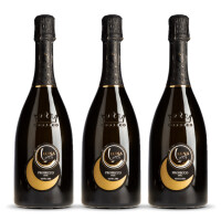 Luna dOr Prosecco Spumante Extra Dry DOC Veneto (3 x 0,75l)