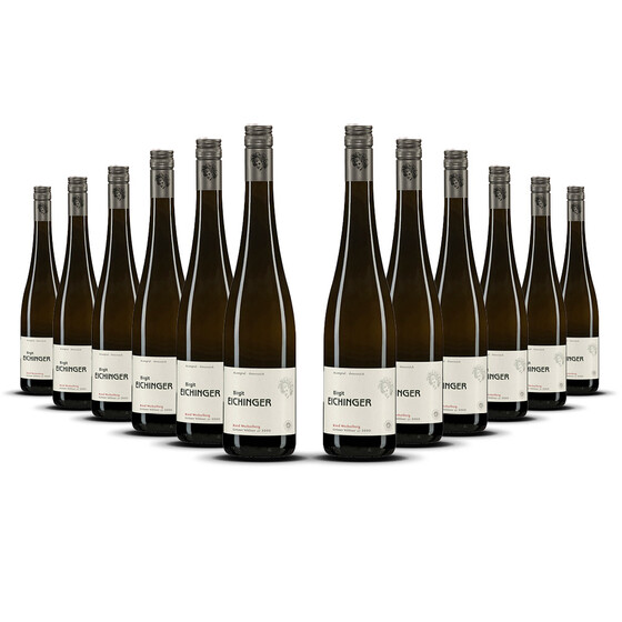 Weingut Eichinger Kamptal Grüner Veltliner Wechselberg 2020er Kamptal (12 x 0,75l)