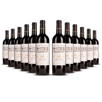 Chateau Saint Brice Saint Emilion 2019er Bordeaux (12 x 0,75l)