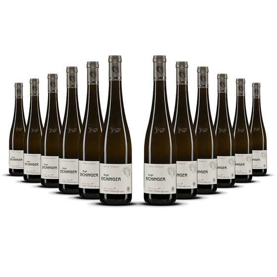 Weingut Eichinger Kamptal Grüner Veltliner Lamm 2021er Kamptal (12 x 0,75l)