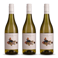 Fish Wives Club Sauvignon Blanc 2023er Western Cape (3 x 0,75l)