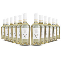 Vesevo Greco di Tufo 2022er Kampanien (12 x 0,75l)