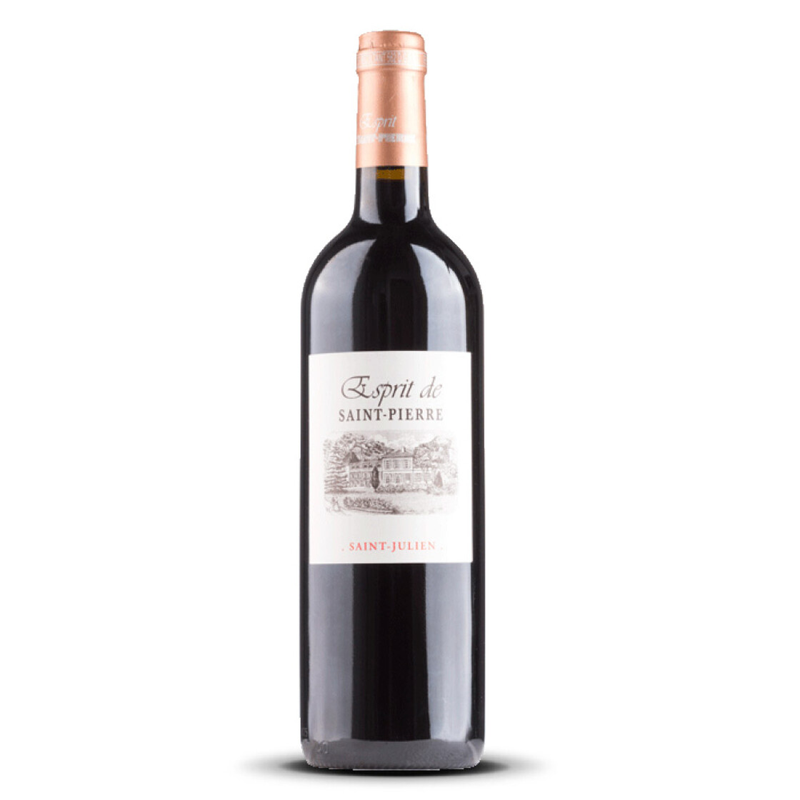 Esprit de Saint Pierre Saint Julien 2014er Bordeaux (1 x 0,75l)