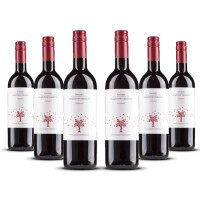 Poggiotondo Rosso Toscana IGT (bio) 2022er Toskana (6 x 0,75l)