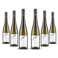 Gritsch Grüner Veltliner Federspiel Axpoint 2022er Nieder Österreich (6 x 0,75l)