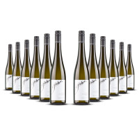 Gritsch Grüner Veltliner Federspiel Axpoint 2022er Nieder Österreich (12 x 0,75l)