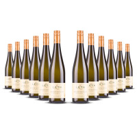 Weingut Leth Grüner Veltliner Schafflerberg (bio) 2022er Nieder Österreich (12 x 0,75l)