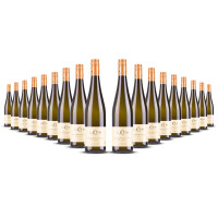 Weingut Leth Grüner Veltliner Schafflerberg (bio) 2022er Nieder Österreich (18 x 0,75l)