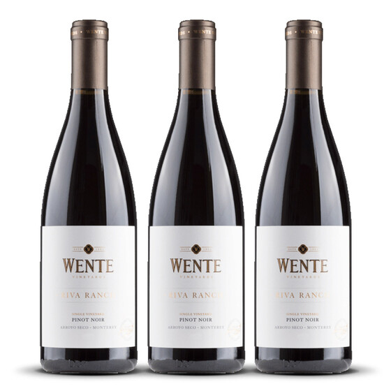 Wente Riva Ranch Vineyard Pinot Noir 2021er Kalifornien (3 x 0,75l)