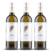 Vite Colte Roero Arneis Villata 2023er Piemont (3 x 0,75l)