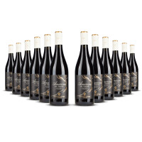 Antiche Terre Venete Amarone della Valpolicella 2020er Veneto (12 x 0,75l)