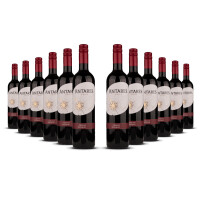 Antares Cabernet Sauvignon 2022er Central Valley (12 x 0,75l)