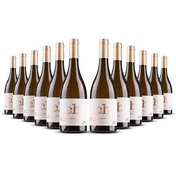 Hensel Chardonnay Hohenflug 2022er Pfalz (12 x 0,75l)