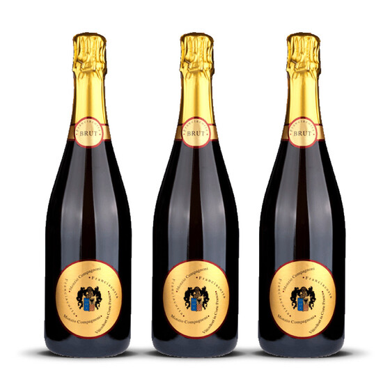 Franciacorta Brut Monzio Compagnoni 2020er Franciacorta (3 x 0,75l)