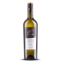 Biscardo UVAM Pinot Grigio delle Venezie 2023er Veneto (1 x 0,75l)