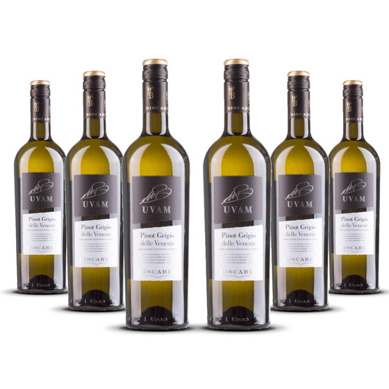 Biscardo UVAM Pinot Grigio delle Venezie 2023er Veneto (6 x 0,75l)