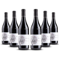 Bel Colle Barbera dAlba Le Masche Barrique 2022er Piemont (6 x 0,75l)