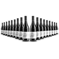 Bel Colle Barbera dAlba Le Masche Barrique 2022er Piemont (18 x 0,75l)