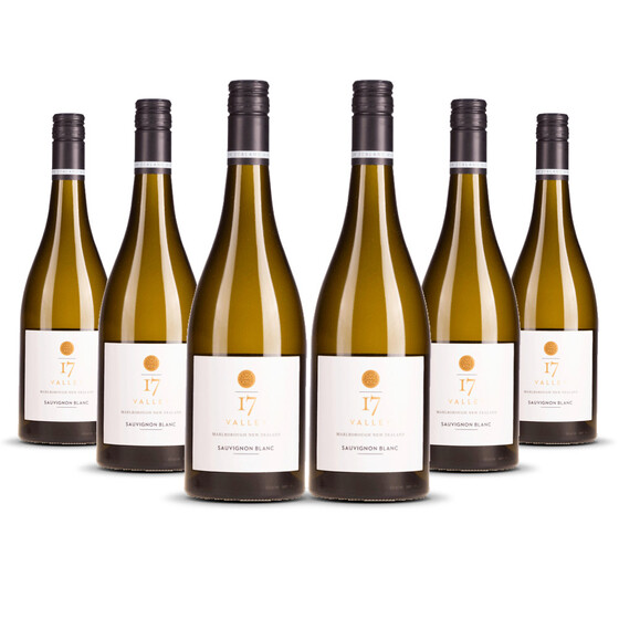 Mount Riley 17 Valley Sauvignon Blanc 2023er Marlborough (6 x 0,75l)