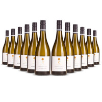 Mount Riley 17 Valley Sauvignon Blanc 2023er Marlborough (12 x 0,75l)