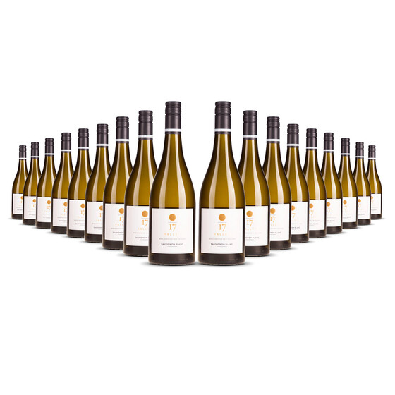 Mount Riley 17 Valley Sauvignon Blanc 2023er Marlborough (18 x 0,75l)