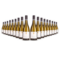 Mount Riley 17 Valley Sauvignon Blanc 2023er Marlborough (18 x 0,75l)