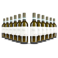 Zenato Bianco di Custoza 2023er Veneto (12 x 0,75l)