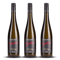 Steffen Riesling "Steillage" Mosel 2023er Mosel (3 x 0,75l)