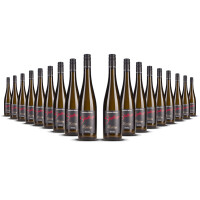 Steffen Riesling "Steillage" Mosel 2023er Mosel (18 x 0,75l)