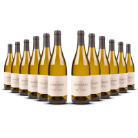 Domaine Salmon Sancerre Blanc 2023er Loire (12 x 0,75l)