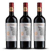 Caliterra Reserva Cabernet Sauvignon 2022er Colchagua Valley (3 x 0,75l)
