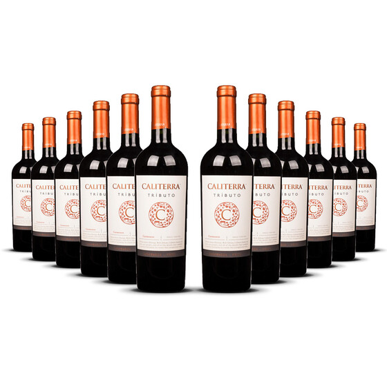 Caliterra Tributo Carmenère 2022er Colchagua Valley (12 x 0,75l)