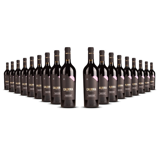 Caldora Sangiovese 2023er Abruzzen (18 x 0,75l)