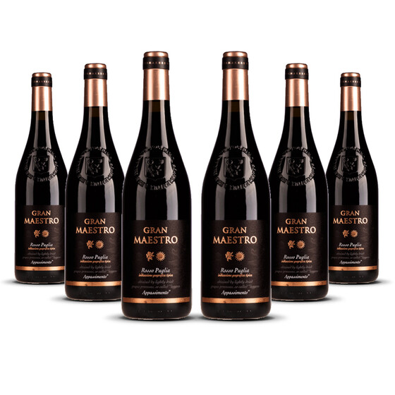 Cielo Gran Maestro Appassimento Rosso 2022er Apulien (6 x 0,75l)