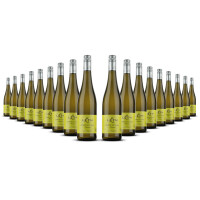 Weingut Leth Grüner Veltliner Terrassen 2023er Nieder Österreich (18 x 0,75l)