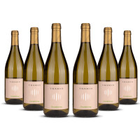 Tramin Chardonnay Alto Adige 2023er Trentino-Alto Adige (6 x 0,75l)