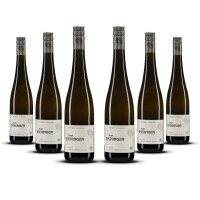 Weingut Eichinger Kamptal Grüner Veltliner Strass 2023er Kamptal (6 x 0,75l)