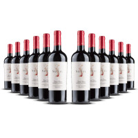 Sutil Grand Reserve Cabernet Sauvignon 2020er Colchagua Valley (12 x 0,75l)