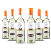 Cielo Sauvignon Blanc IGT Veneto 2023er Veneto (6 x 0,75l)